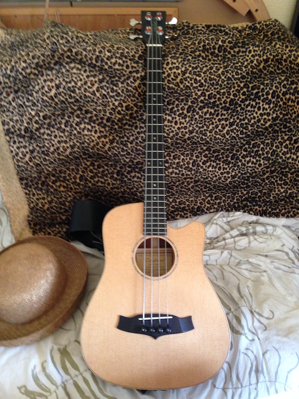 2016-05-17 Tanglewood Baby Bass new tuners flatwound strings - smaller file